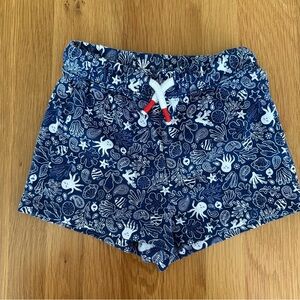 Sergent Major Blue and White Swim Shorts